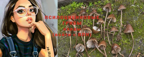 PSILOCYBIN Балабаново