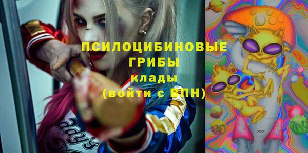 PSILOCYBIN Балабаново