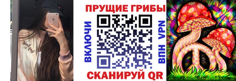 как найти наркотики Калининец Галлюциногенные грибы Psilocybe