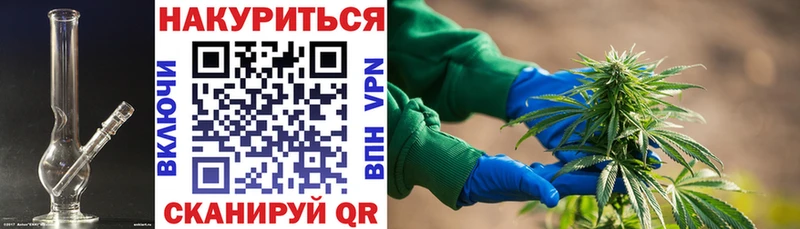 Бошки Шишки конопля Калининец